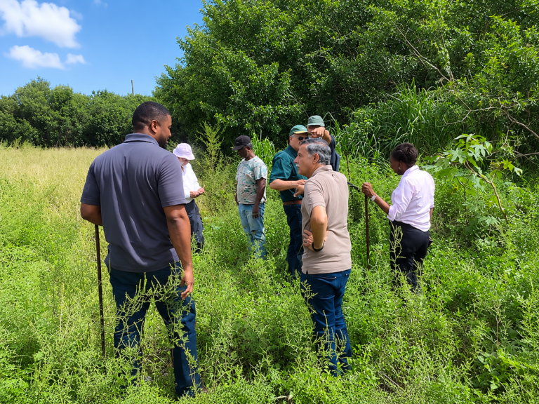 Advancing Agricultural Self Reliance
