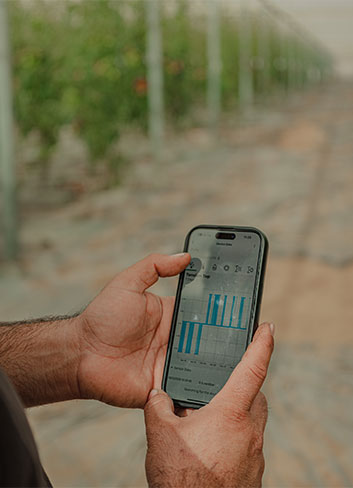 Strengthening Greenhouse Profitability (Hebrew)