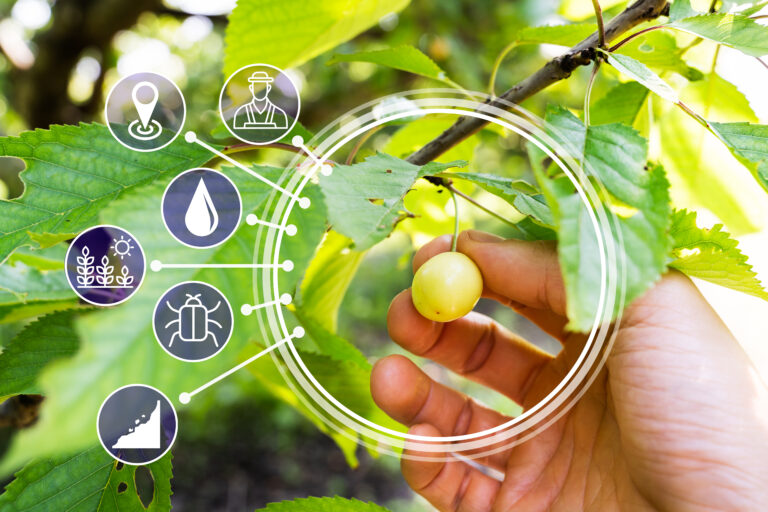 How Israel Became a World Leader in Agriculture