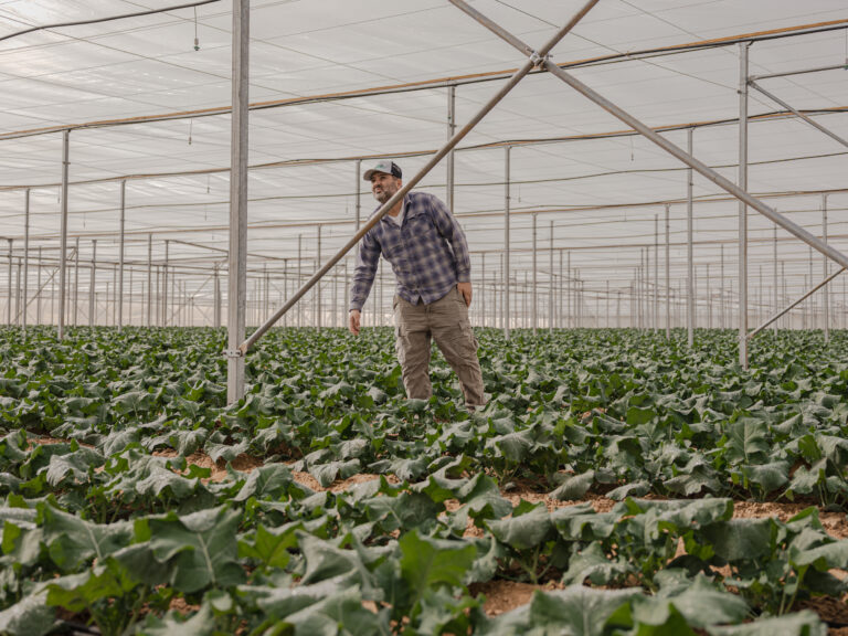 Scaling Phase 2: Greenhouse Innovation