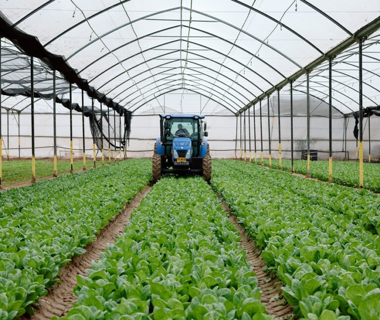 Accelerating Agricultural Innovation Adoption in Israel